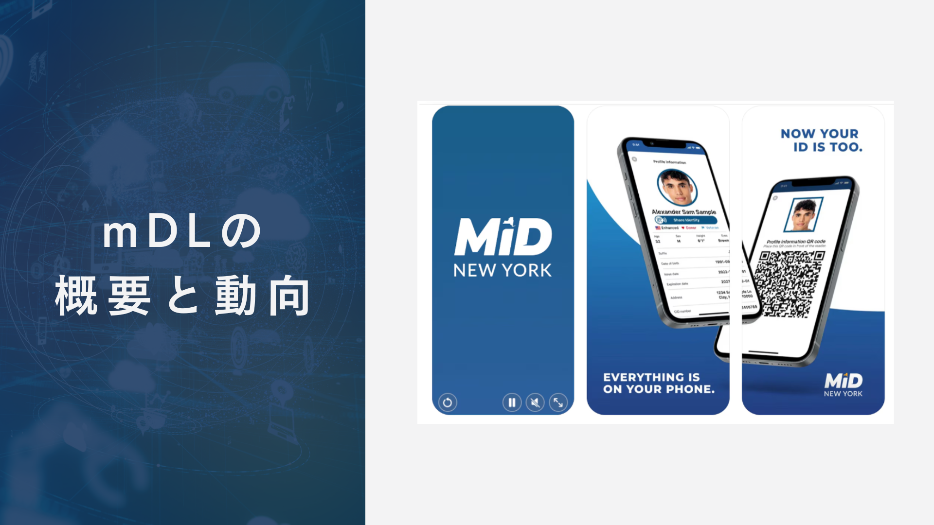 mDLの最新動向リサーチ（グローバル動向） - Recept（リセプト）